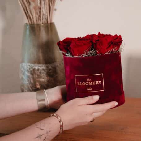 Rosenbox in Bordeauxrot Samt, mit 8 stabilisierten Rosen Burgundy Ø 15 cm