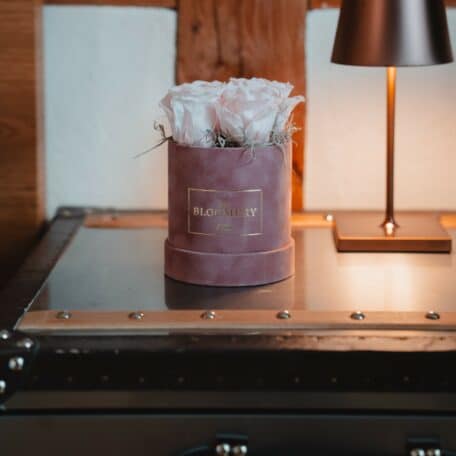 Rosenbox in Rosa Samt, mit 4 stabilisierten Rosen Pink Bourgogne, Ø 10 cm