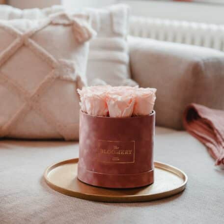 Rosenbox in Sand Samt, mit 8 stabilisierten Rosen Ivory, Ø 15 cm