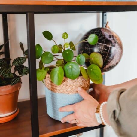 Korb Rio, 16 x 16.5 cm