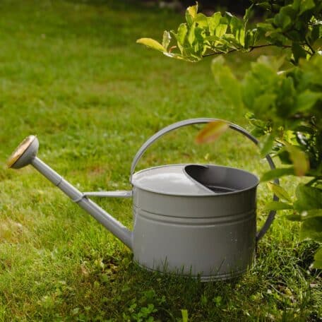 Giesskanne Luis, 7 Liter