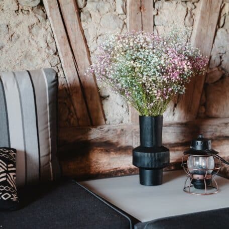 Rainbow-Schleierkraut, 10 Stiele, ca. 70cm