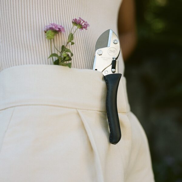 Chop Chop Bloom Gartenschere – Blue Poppy