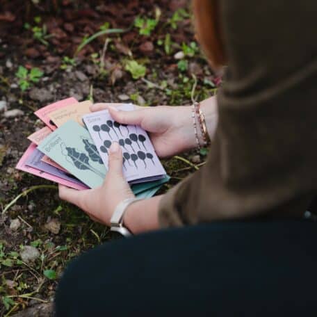 Multipack de graines (pack de 10)