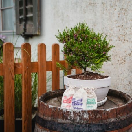 Seedballs, multipack de 3