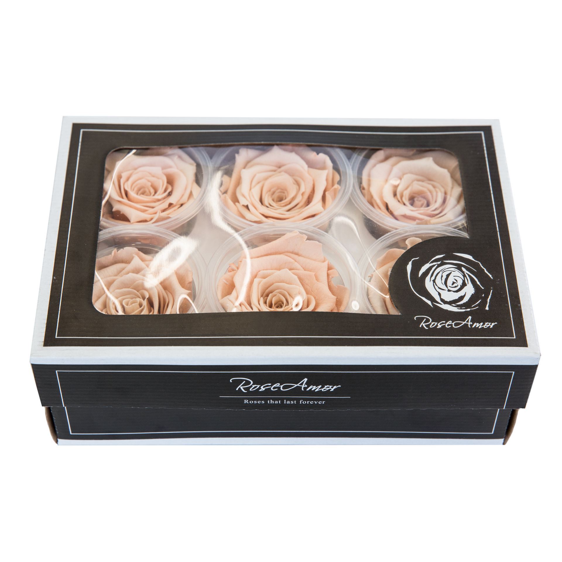 Stabilisierte Rosen pfirsich 4.5-6 cm Ø 6 Stk.