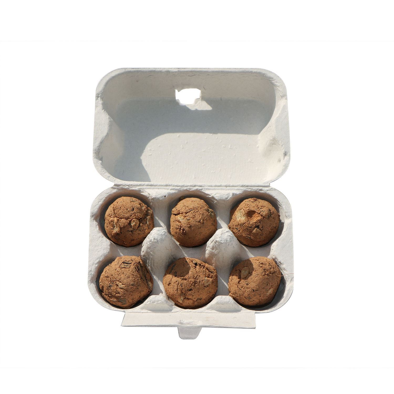 Samenkugeln Sonnenblumen 6er