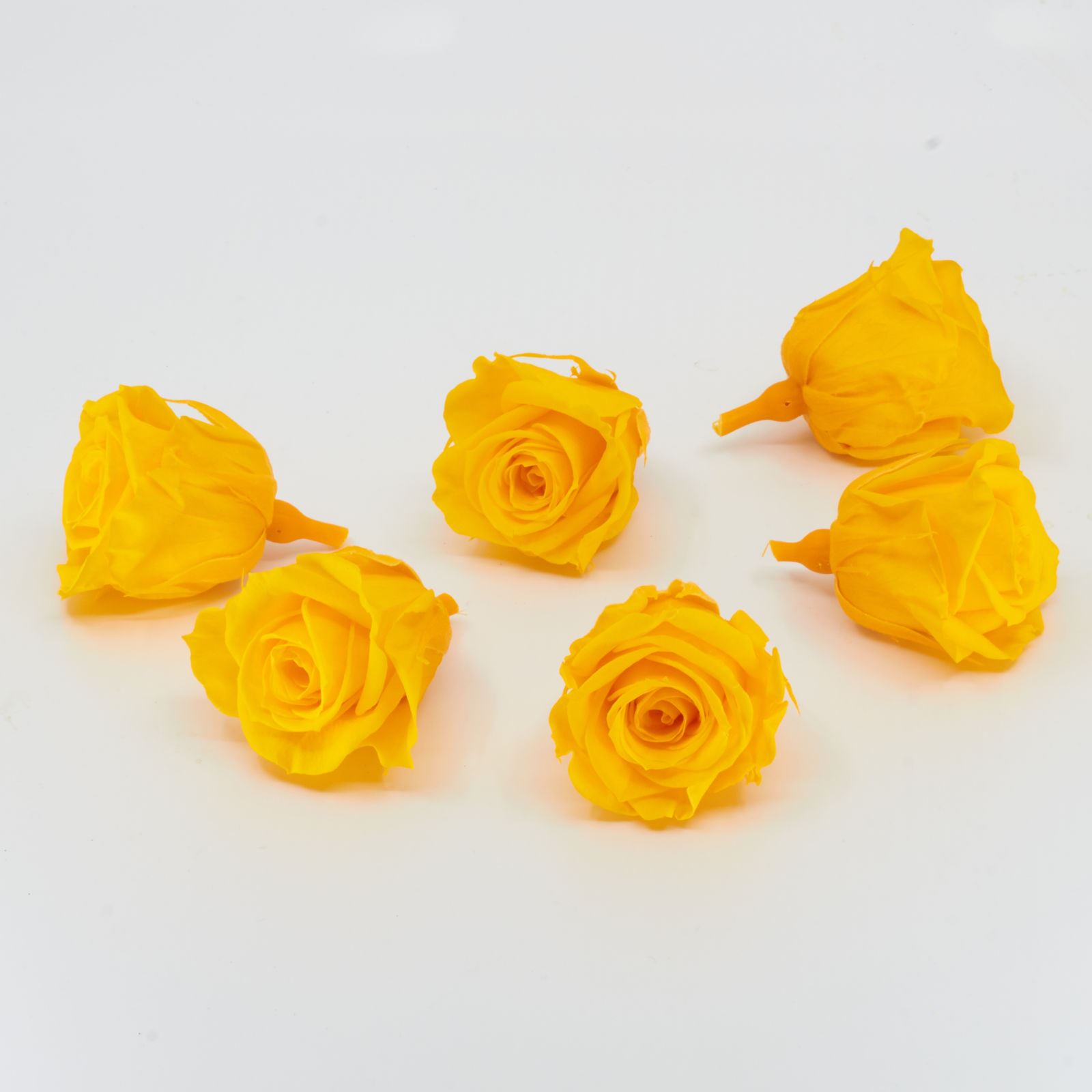 Gefriergetrocknete Rose mini 'gelb' Ø4cm h3.5cm 6er Set