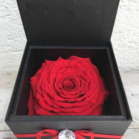 Edles Schmuckkästchen mit echter roter stabilisierter Rose