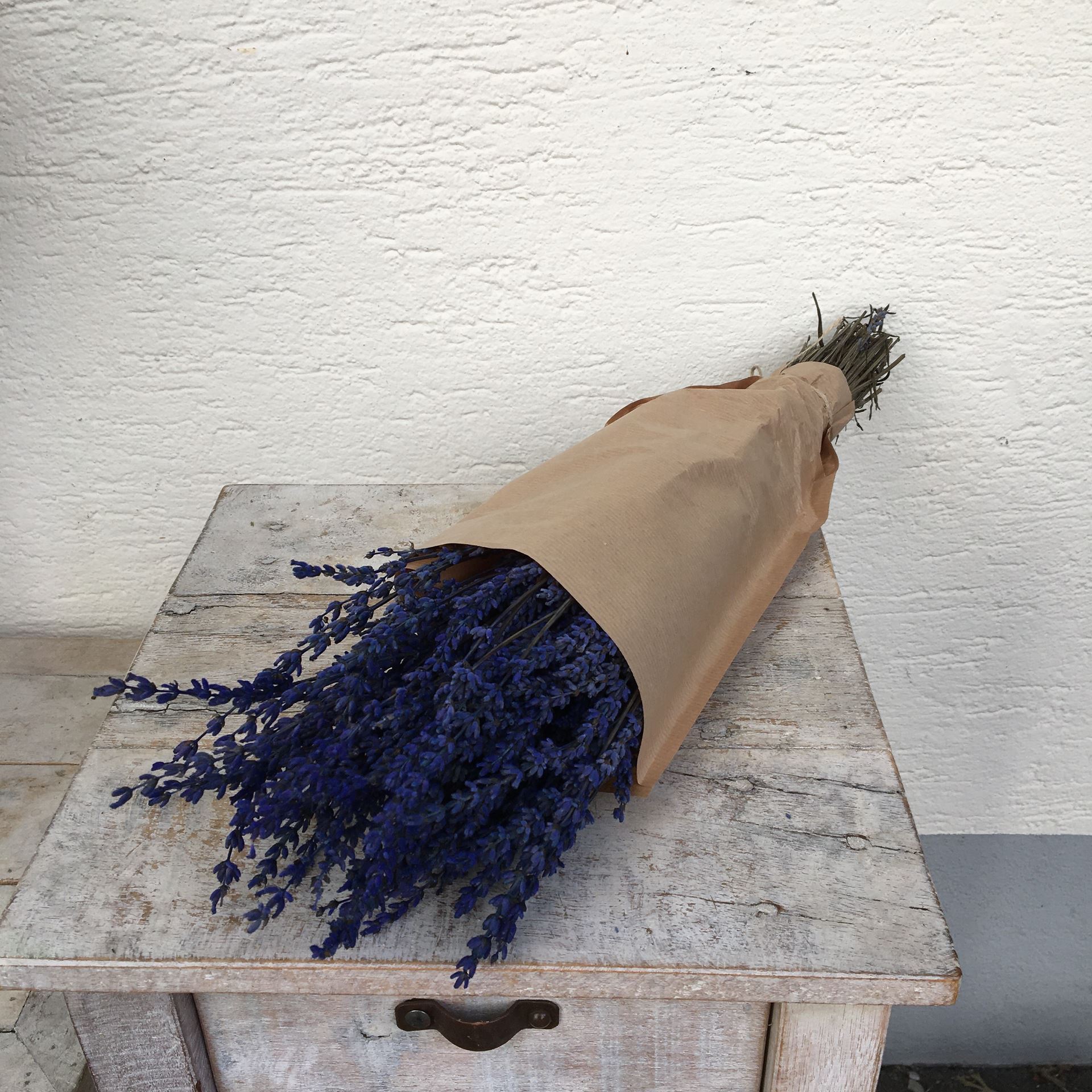 Trockenblumen Strauss Lavendel Bund blau  Ø ca.10 cm H ca.35 cm