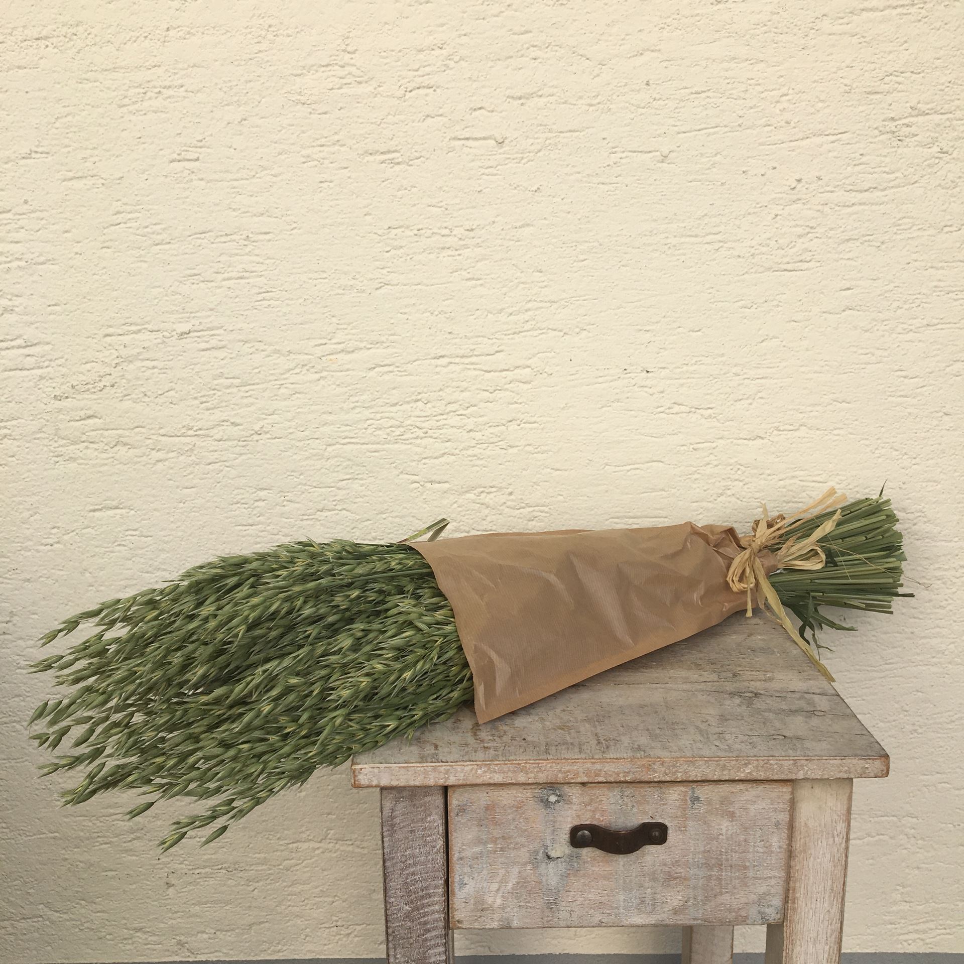 Trockenblumen Strauss Bund Hafer grün natur  Ø ca.15 cm H ca.45 cm