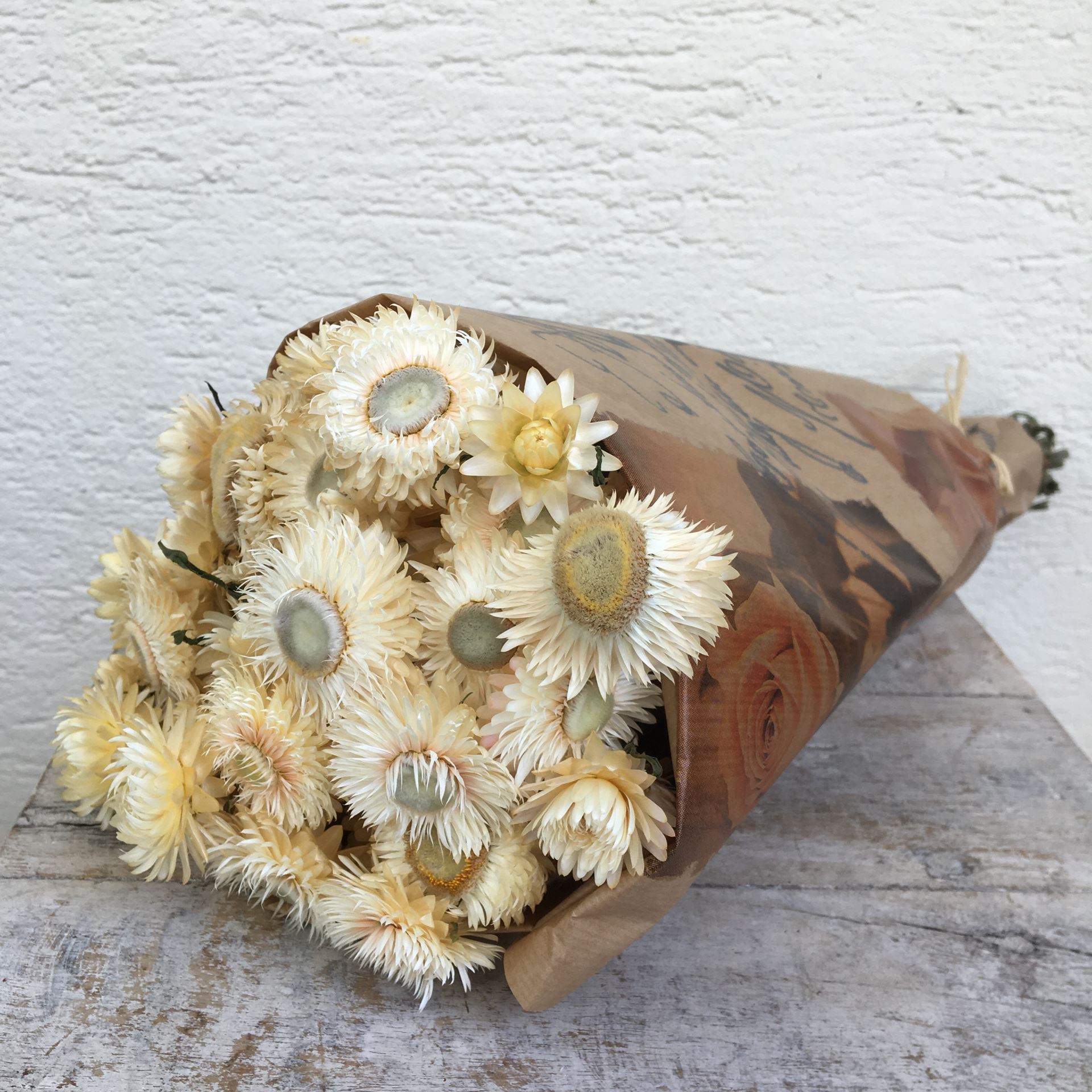 Fagot de fleurs séchées Helichrysum (immortelle) crème Ø env.15 cm H env.28 cm