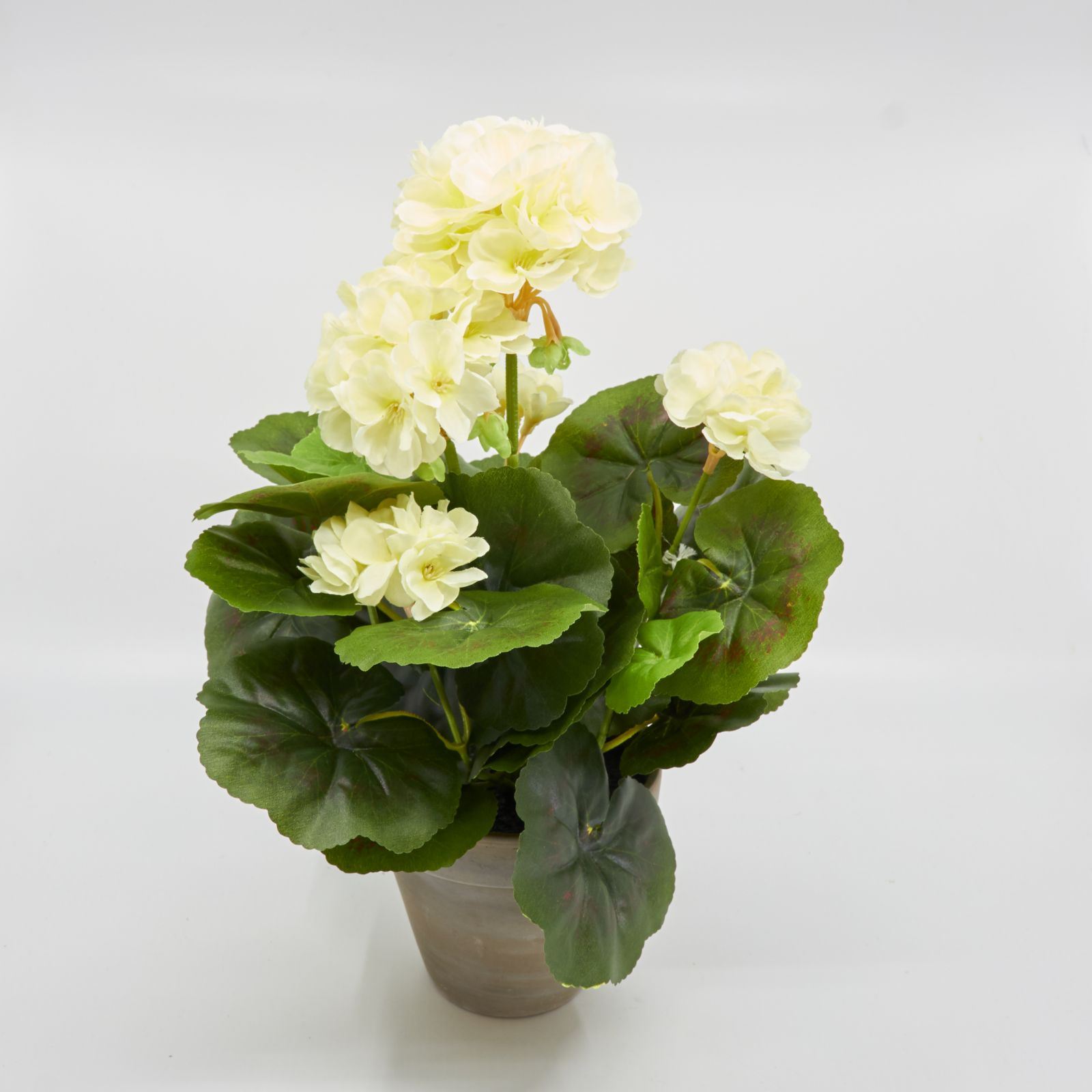 Geranium im Topf 'künstlich' creme