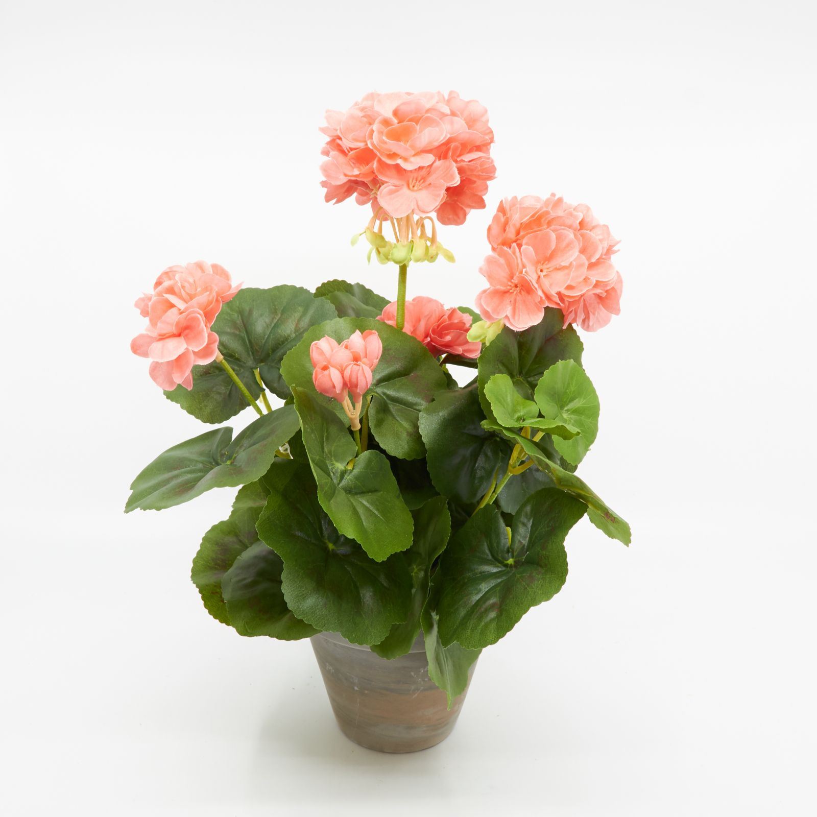 Geranium im Topf 'künstlich' lachs