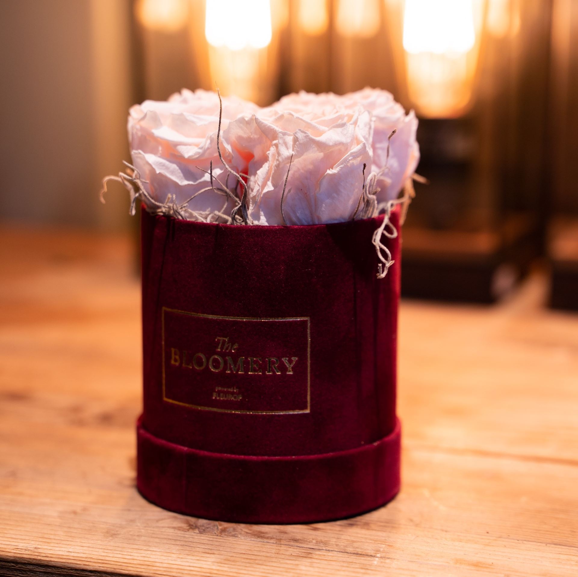 Rosenbox in Bordeauxrot Samt, mit 4  stabilisierten Rosen Pink Champagne,  Ø 10 cm