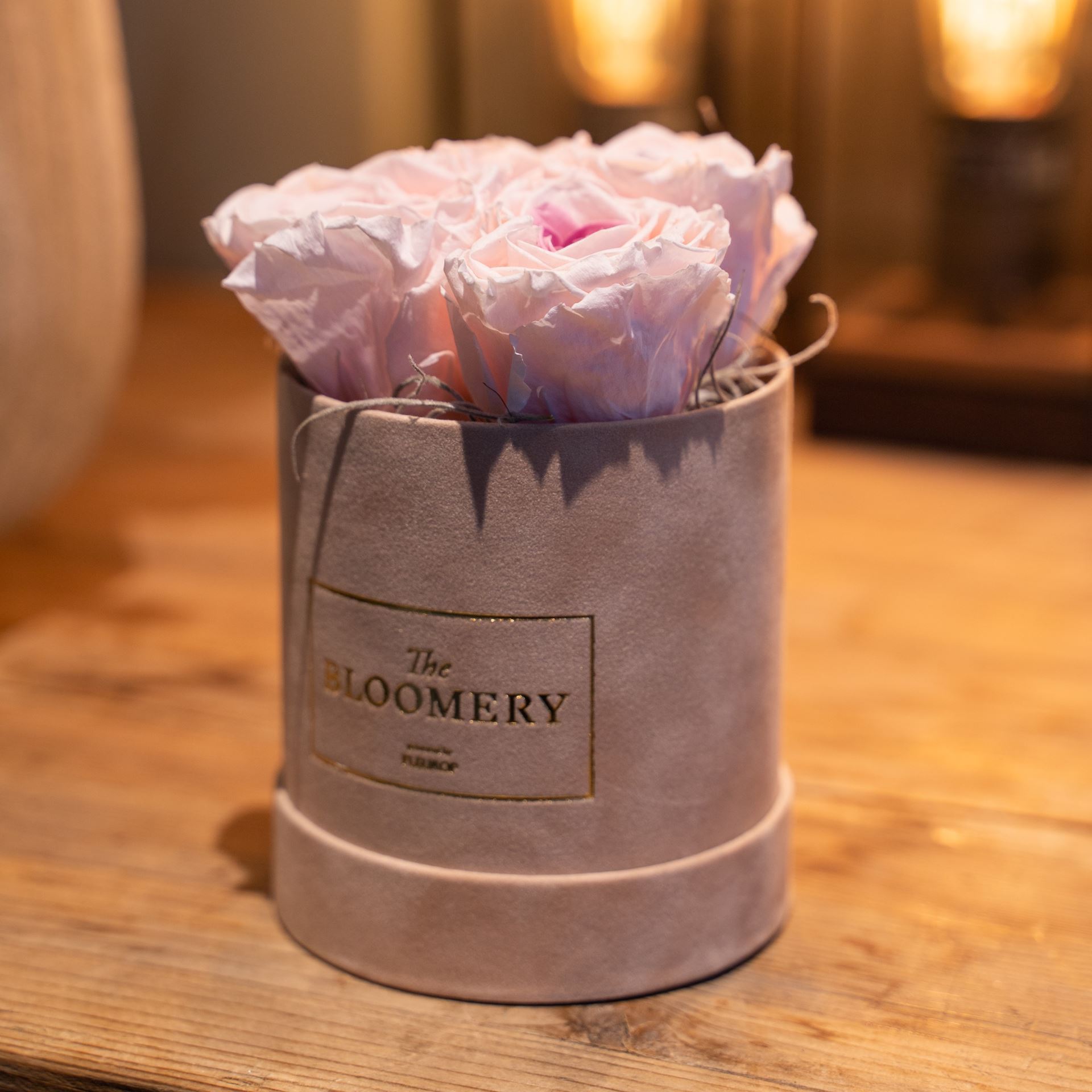 Rosenbox in Sand Samt, mit 4  stabilisierten Rosen Pink Bourgogne,  Ø 10 cm