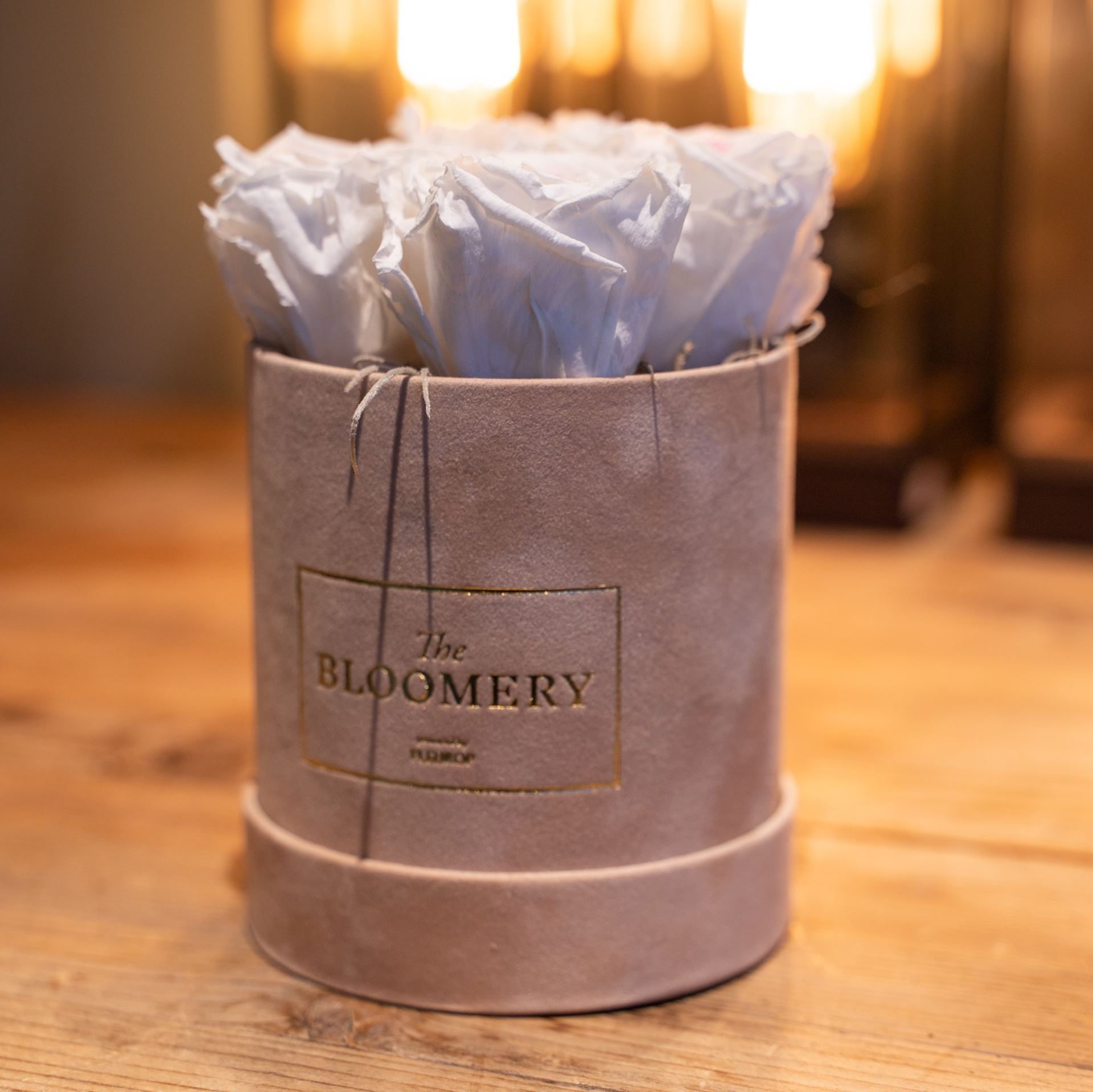 Boîte à roses en velours sable, avec 4 roses stabilisées Ivory, Ø 10 cm