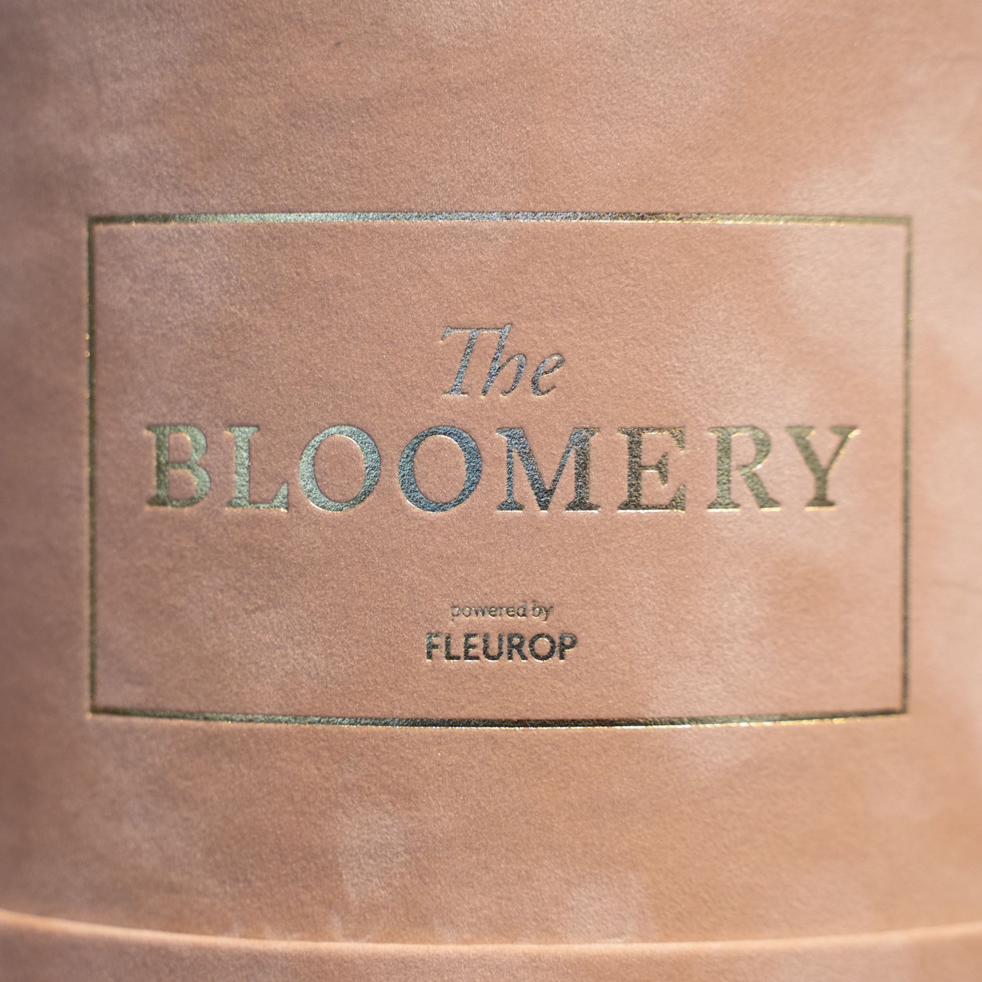 Rosenbox in Sand Samt, mit 8 stabilisierten Rosen Ivory, Ø 15 cm