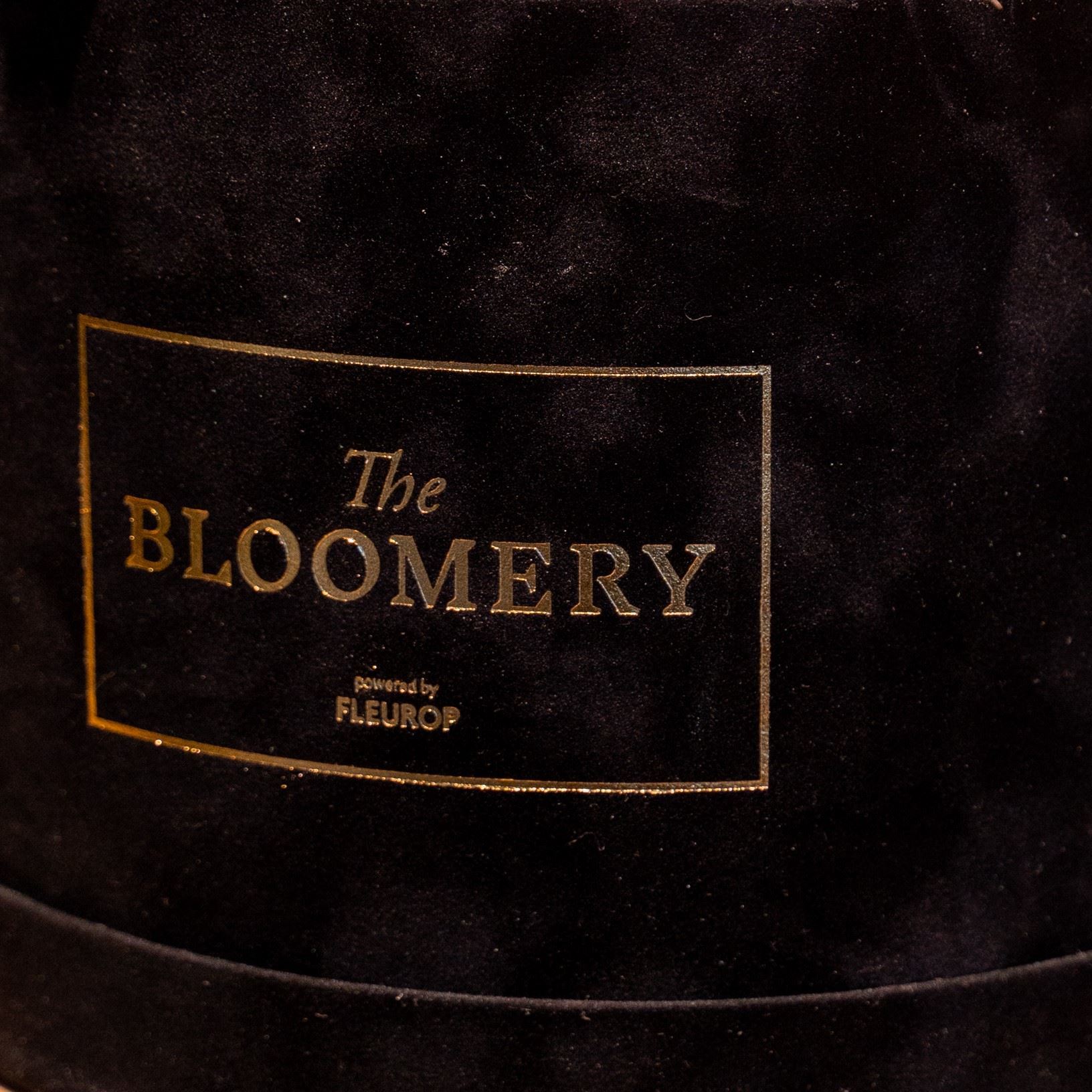 Boîte à roses en velours noir, avec 15 roses stabilisées Madeleine Pink Ø 20 cm