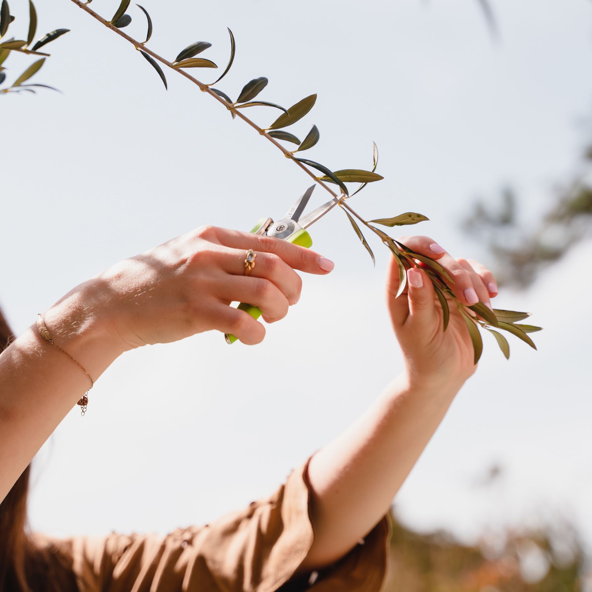 Gartenschere LAYAT Happy Line grün gerade Klinge