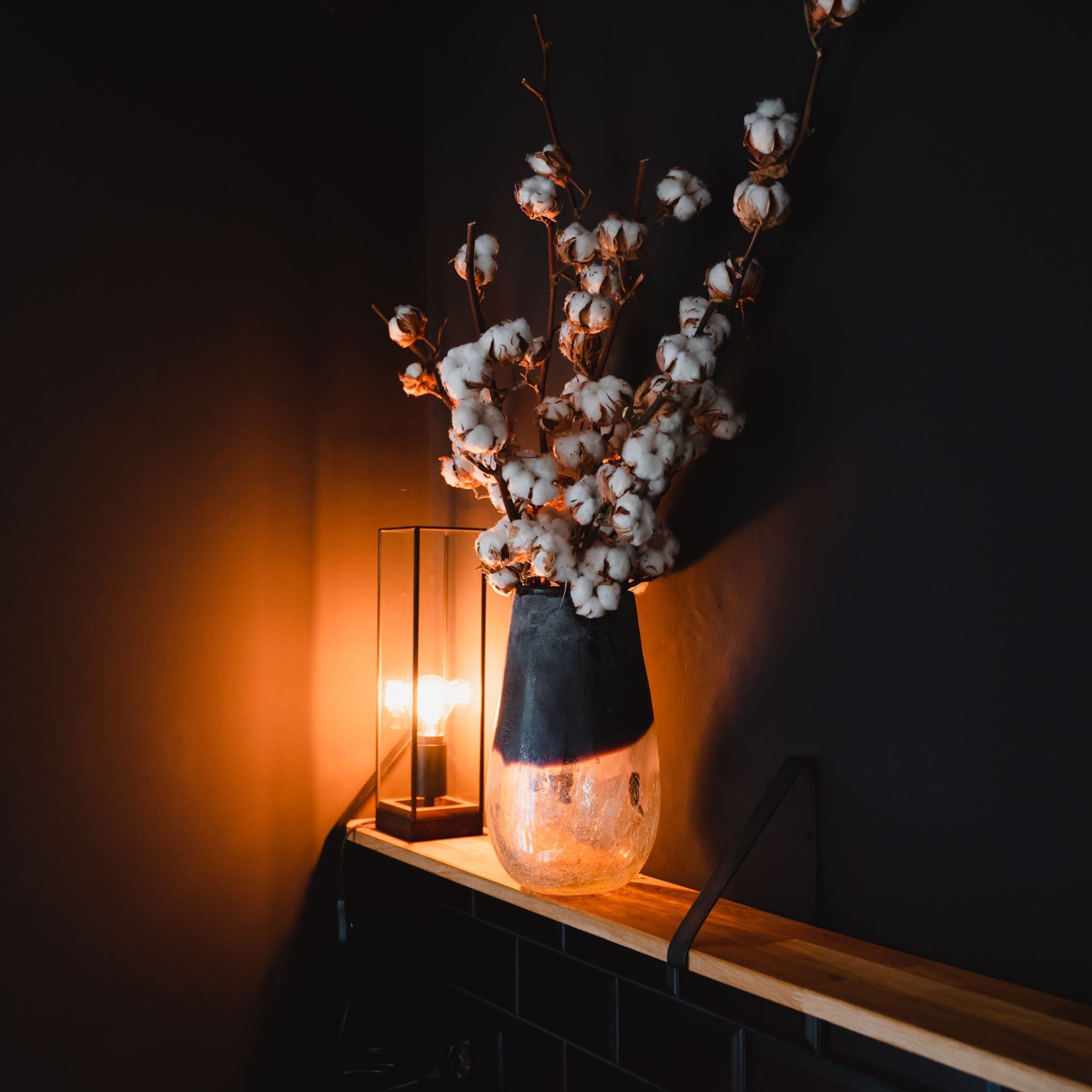 Baumwolle - Baumwollzweig getrocknet H ca. 50/70 cm