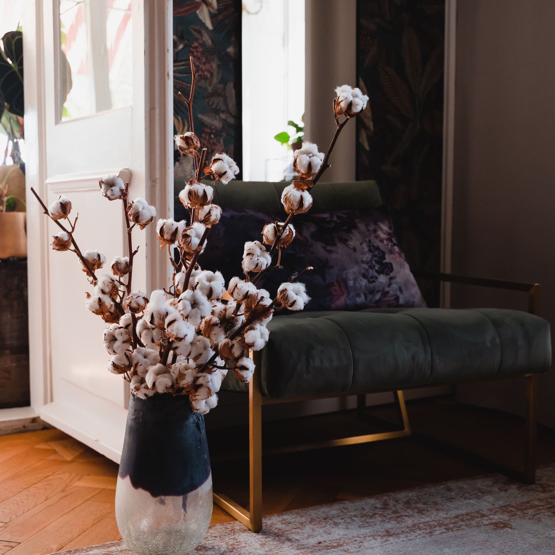 Baumwolle - Baumwollzweig getrocknet H ca. 50/70 cm