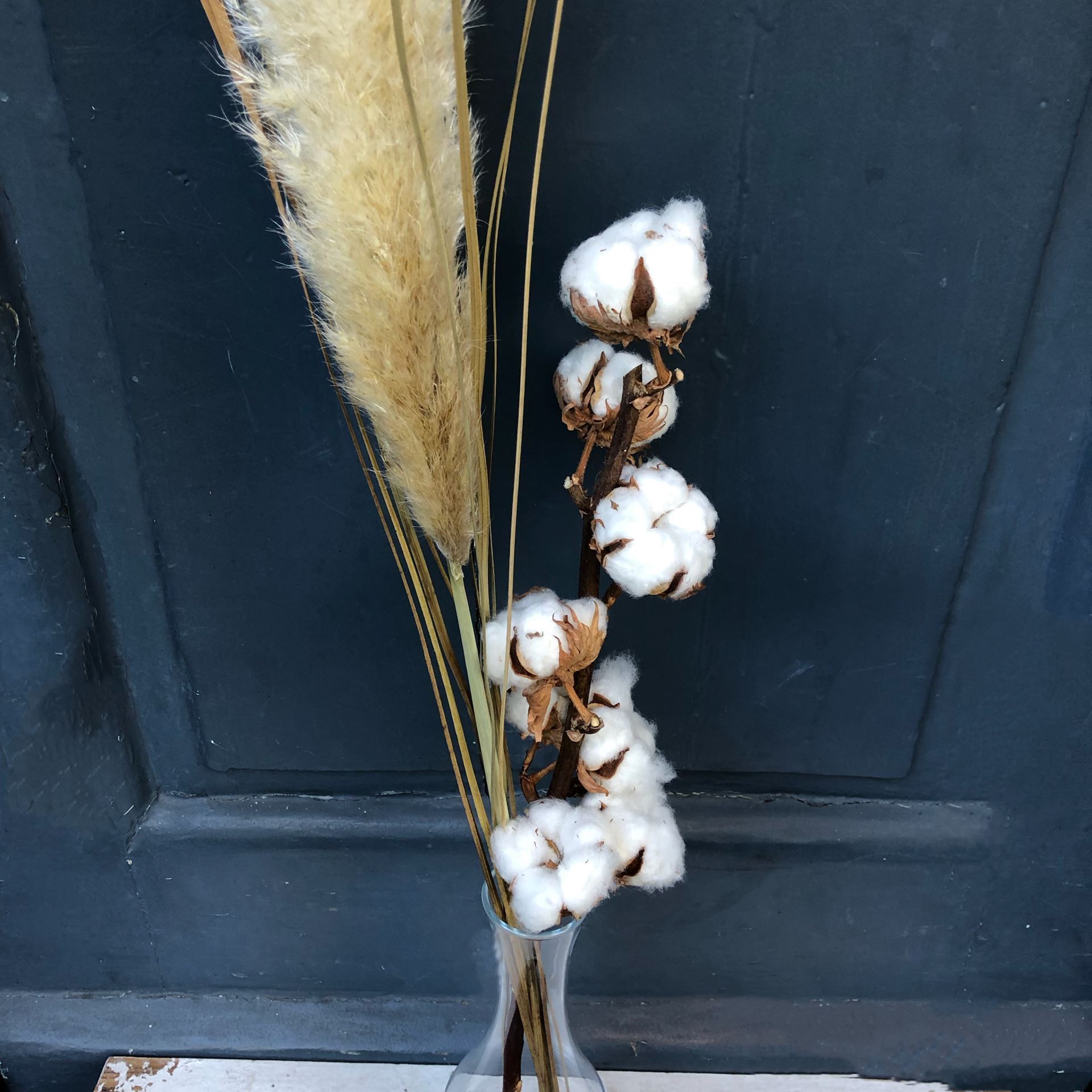 Trendiges Pampasgras mit Baumwolle und Vase