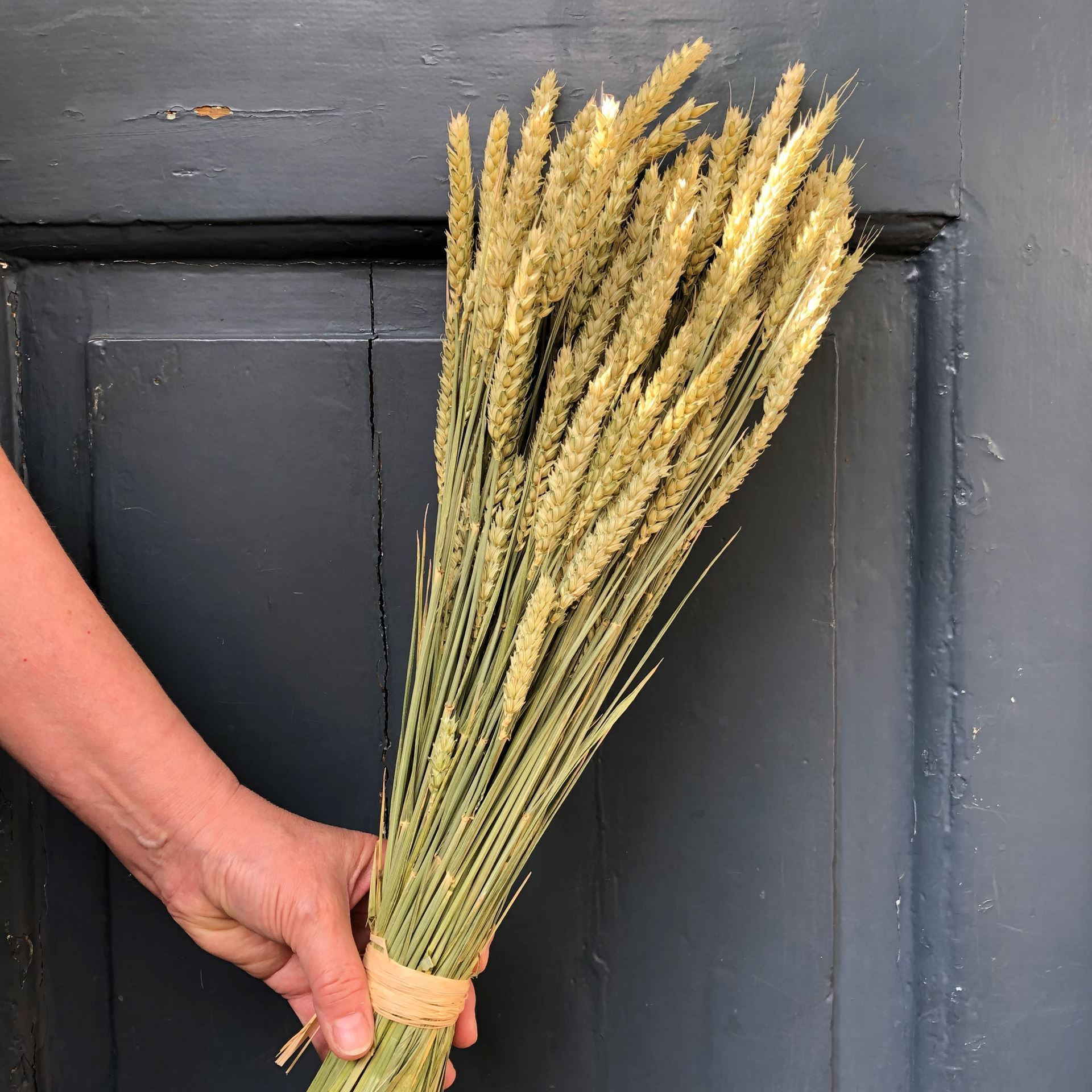 Trockenblumen Strauss Bund Weizen  Ø ca.12 cm L ca.60 cm