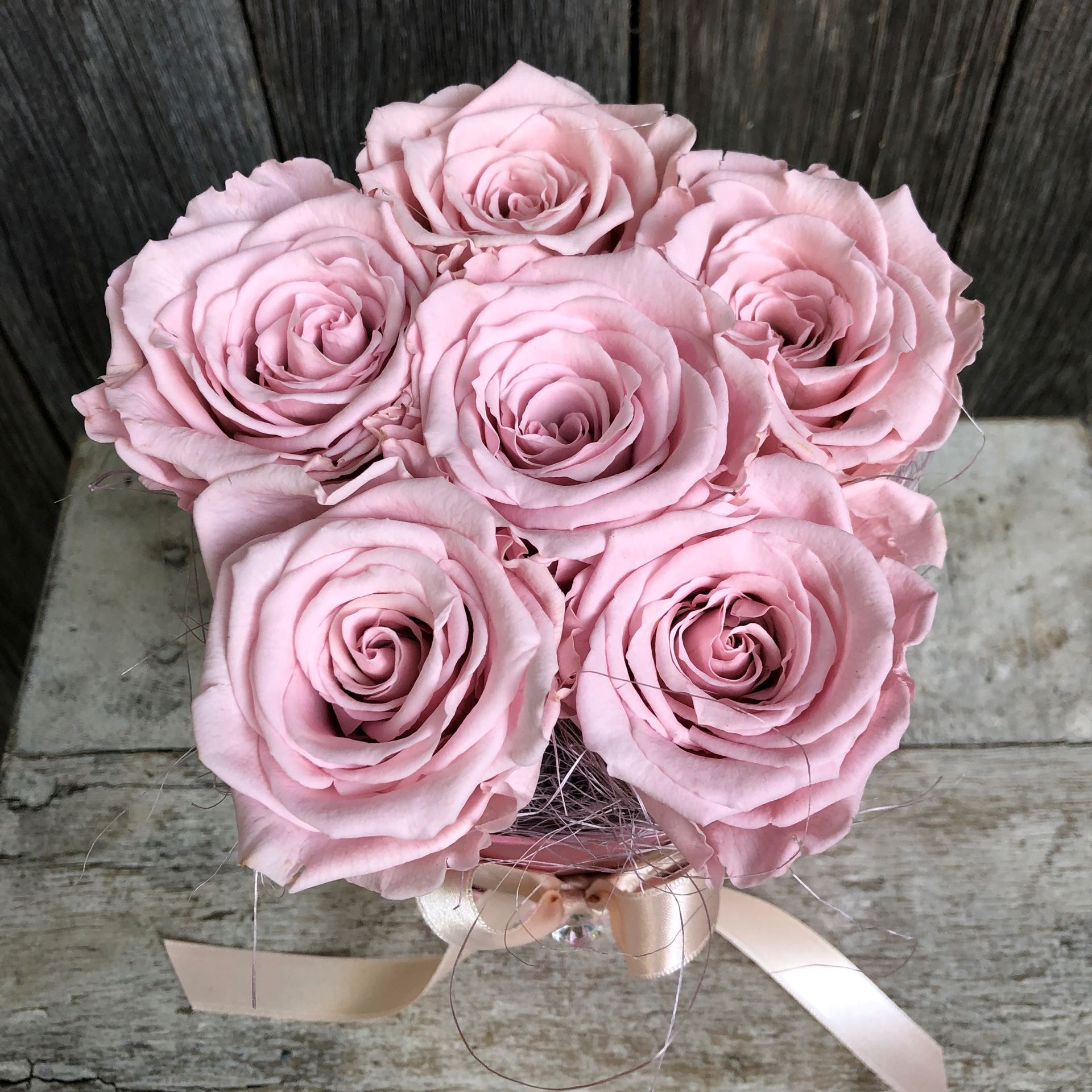 Eine Rosenbox - rund, in Rosa, mit 6 rosafarbenen, echten, stabilisierten Rosen