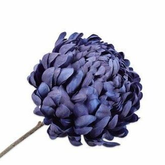 Chrysantheme dunkelblau 64cm