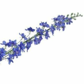 Delphinium blau 116cm