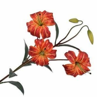 Lilie orange, rot 100cm