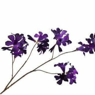 Mandevilla violett 114cm