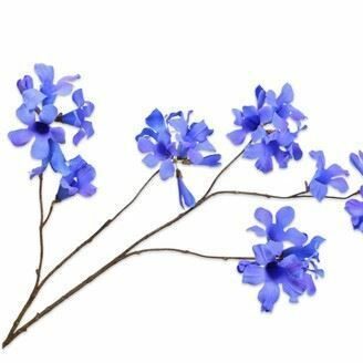 Mandevilla blau 114cm