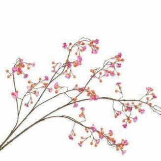 Berry orange, pink 120cm