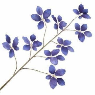 Leaf velvet bau 114cm