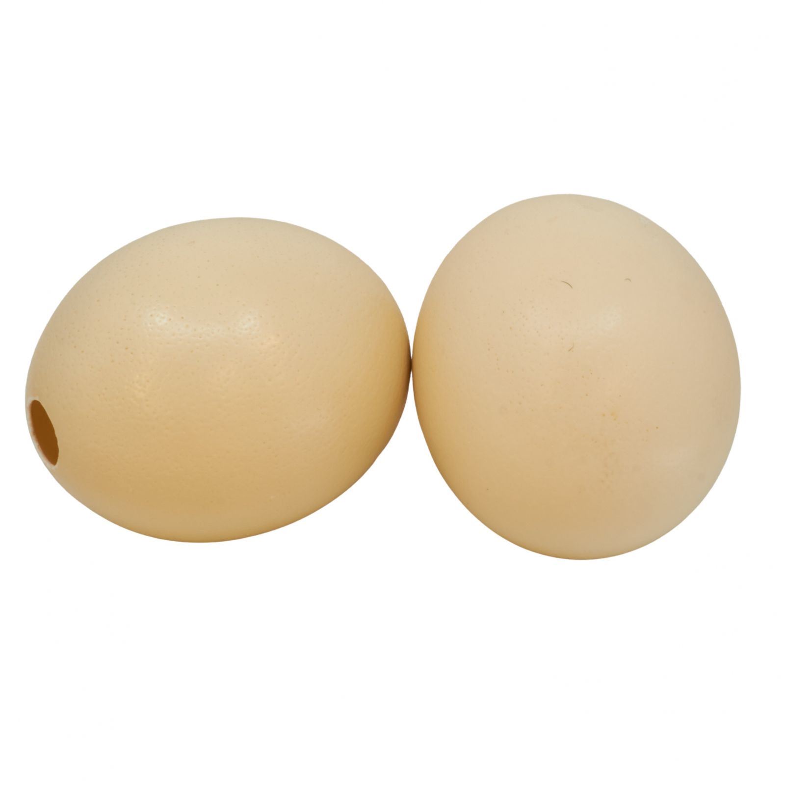 Straussenei  'ausgeblasen' pro Stück