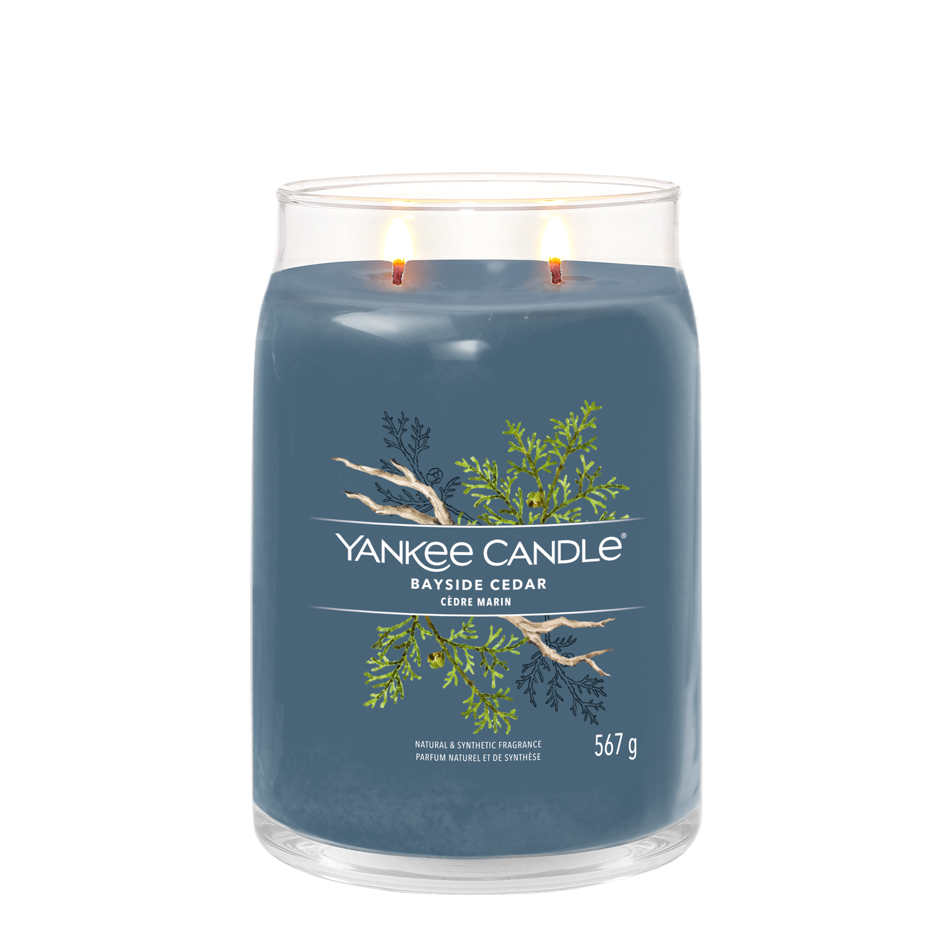 Bayside Cedar Signature Grand pot