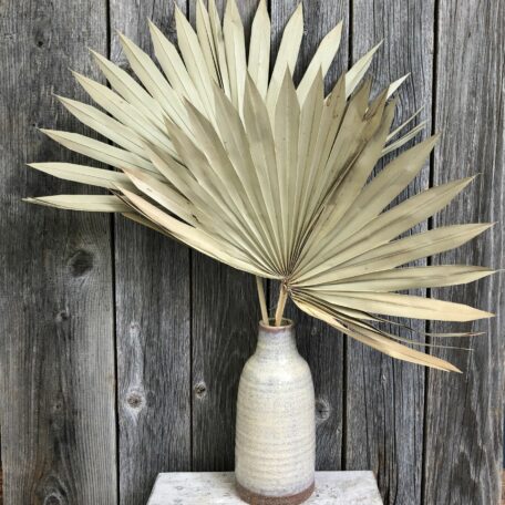 Decorative Palmblätter mit Keramik Vase