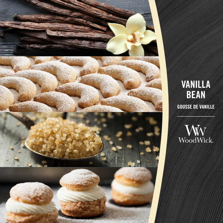 Vanilla Bean Large Jar