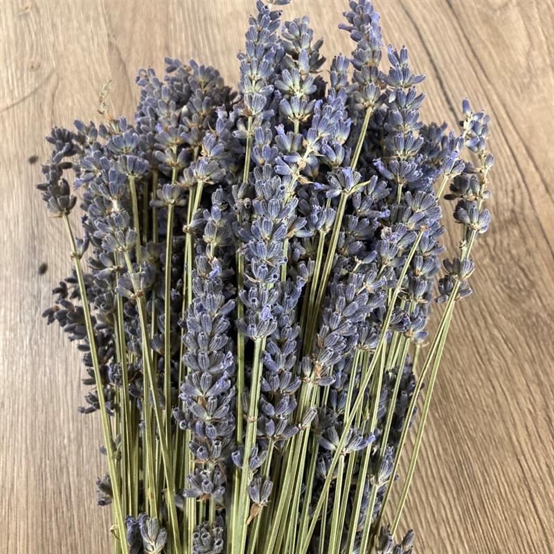 Lavendel, Bund von Merci Lavande, grün