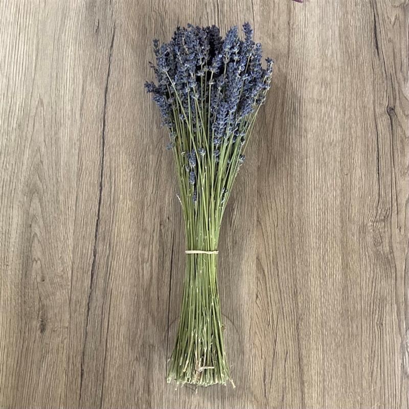 Lavendel, Bund von Merci Lavande, grün