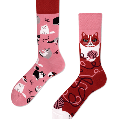 Playful Cat Socks