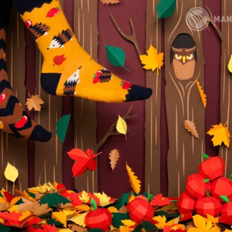 Apple Hedgehog Socks