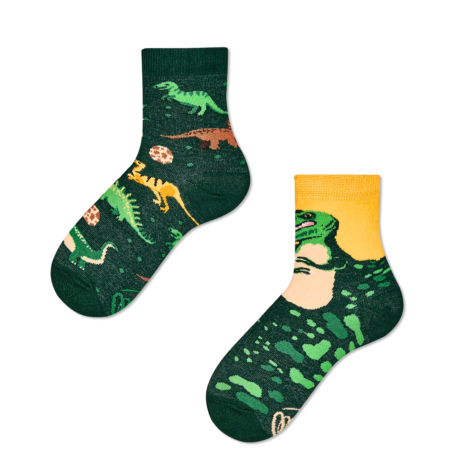 The Dinosaurus Socks Kids