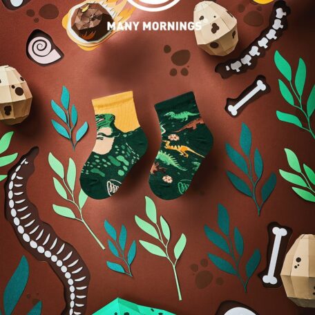 The Dinosaurus Socks Kids