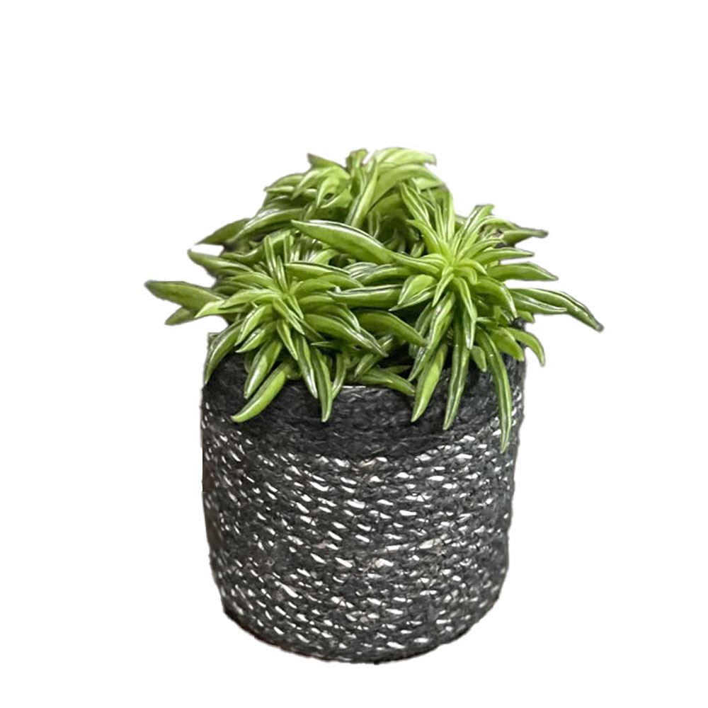 Übertopf Seattle, 12 x 12 cm