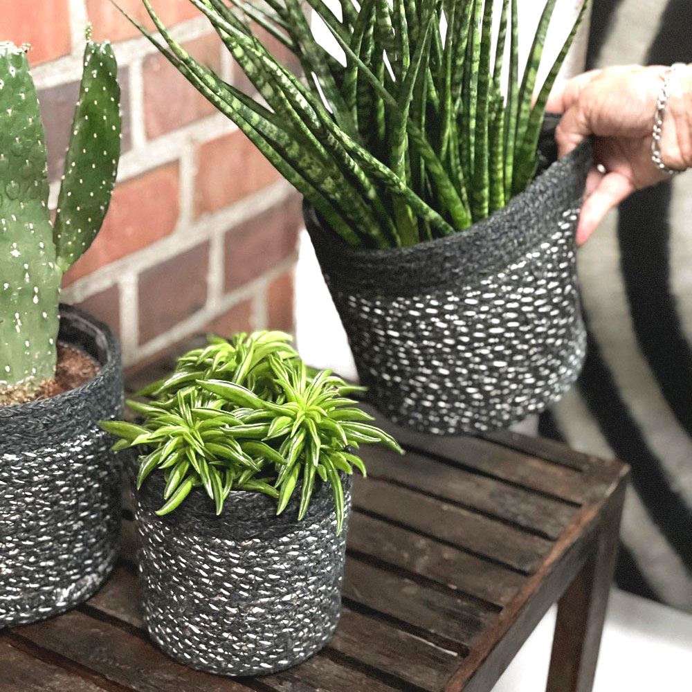 Übertopf Seattle, 16 x 15 cm