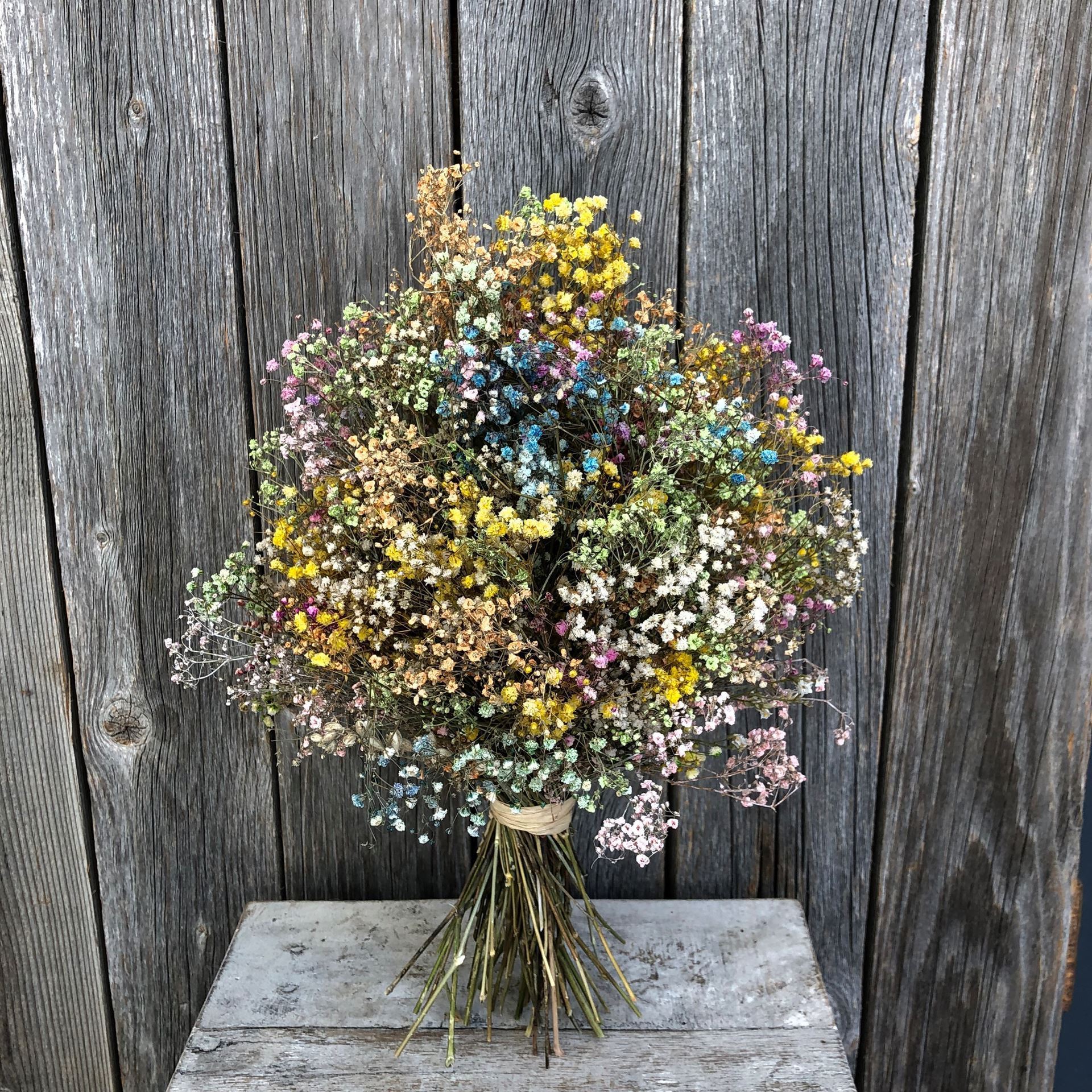 Trockenblumen Strauss Schleierkraut 