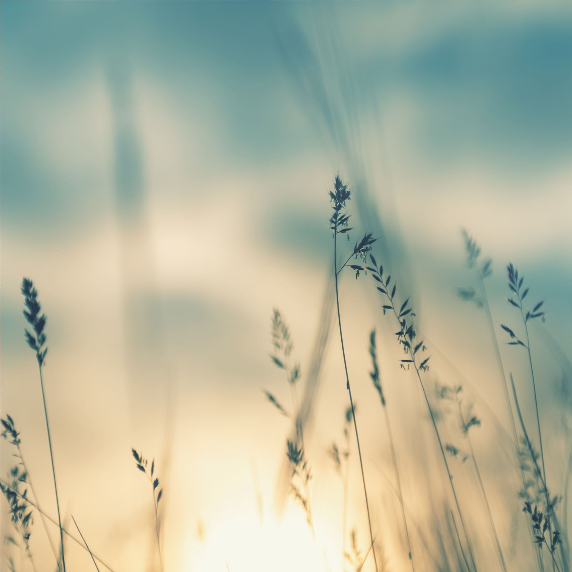 Karten «In stillem Gedenken» (10er-Set)